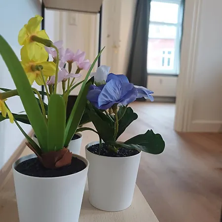 Apartamento 2 Bedroom With Free Private Parking