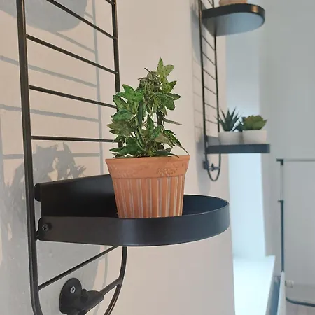 Apartament 2 Bedroom With Free Private Parking