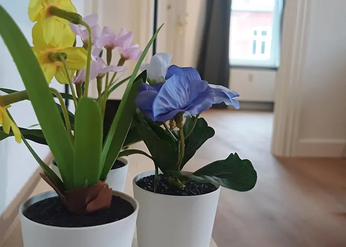 Apartmán 2 Bedroom With Free Private Parking